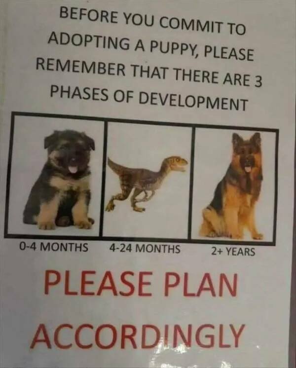 Truthful Memes (17 pics)