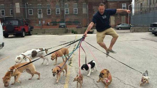 Photos For Good Mood (29 pics)