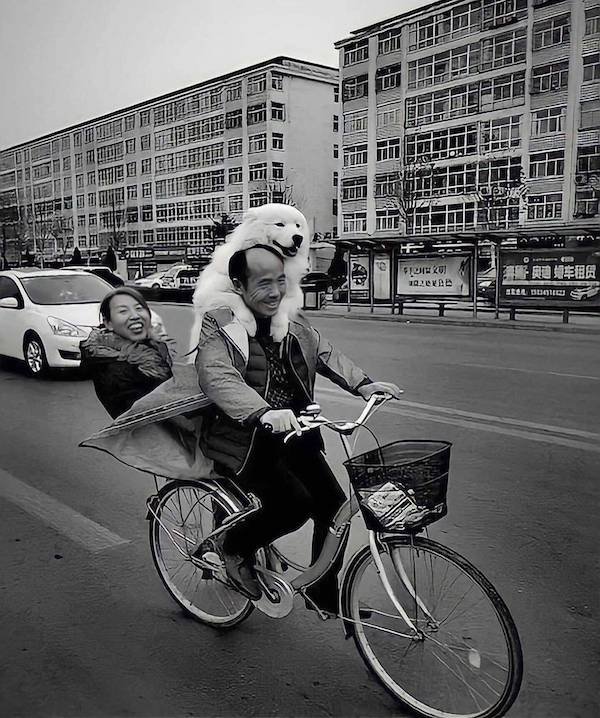 Photos For Good Mood (29 pics)