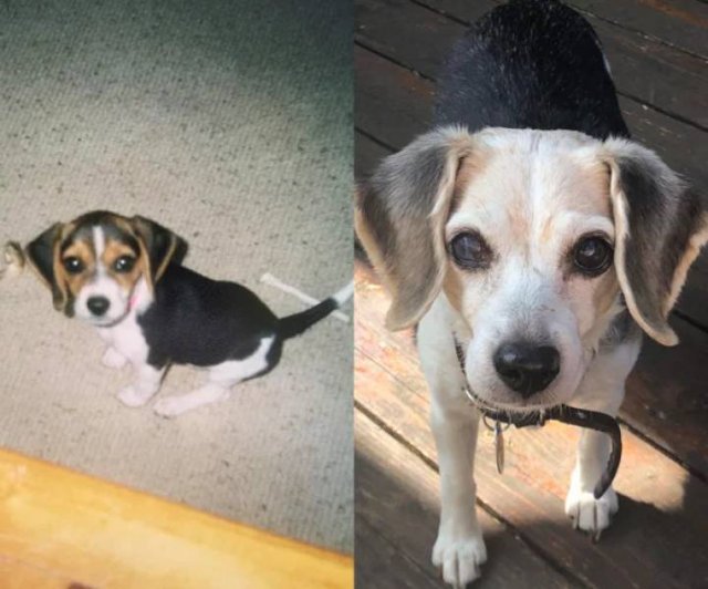 They Grow Very Fast (36 pics)
