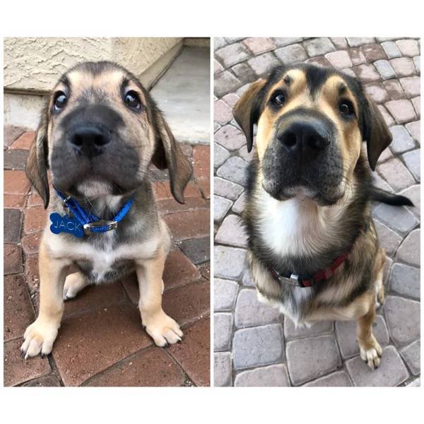 They Grow Very Fast (36 pics)