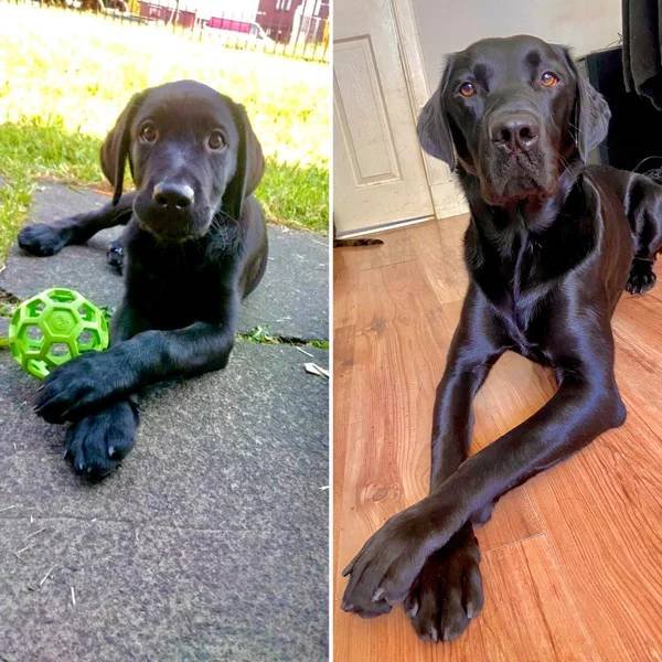 They Grow Very Fast (36 pics)