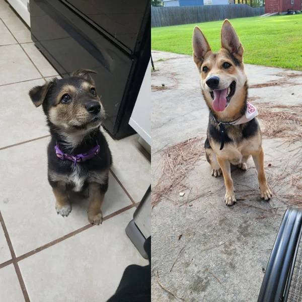 They Grow Very Fast (36 pics)