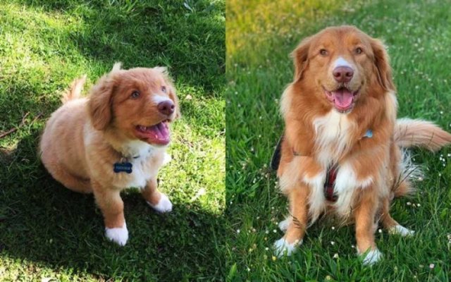 They Grow Very Fast (36 pics)