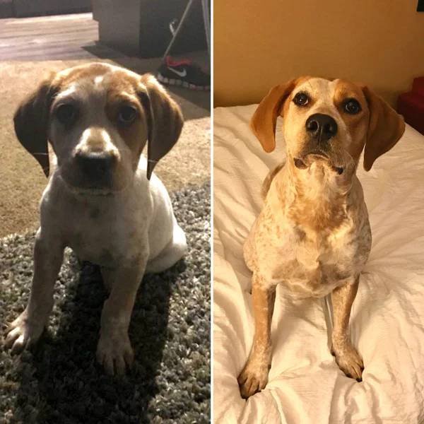 They Grow Very Fast (36 pics)