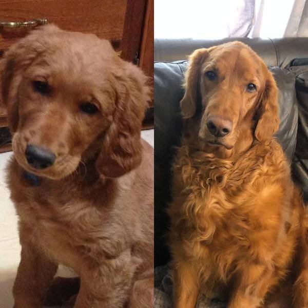 They Grow Very Fast (36 pics)