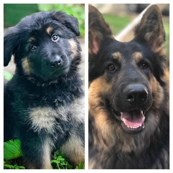 They Grow Very Fast (36 pics)