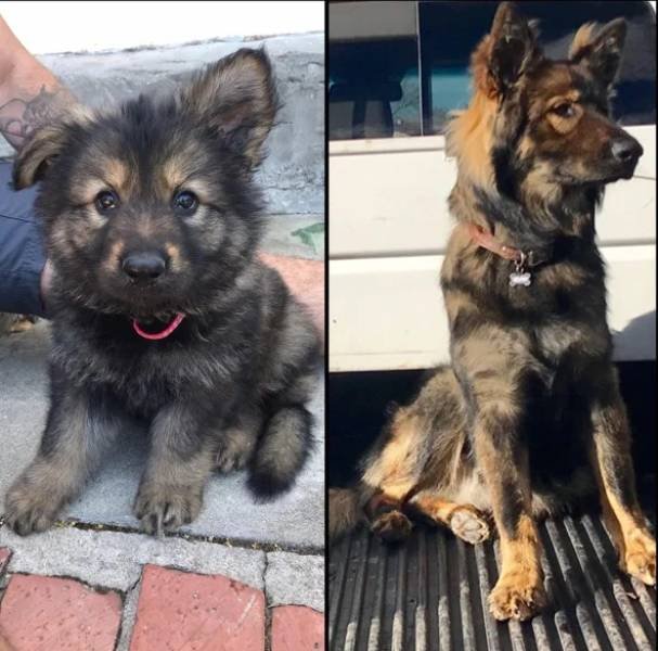 They Grow Very Fast (36 pics)