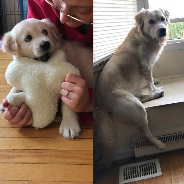 They Grow Very Fast (36 pics)