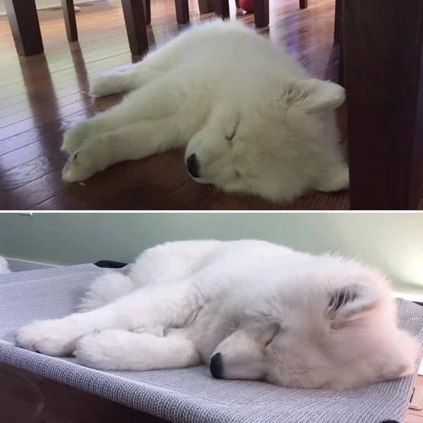 They Grow Very Fast (36 pics)