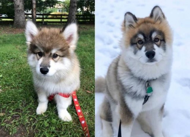 They Grow Very Fast (36 pics)