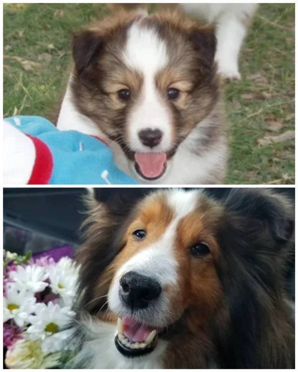 They Grow Very Fast (36 pics)