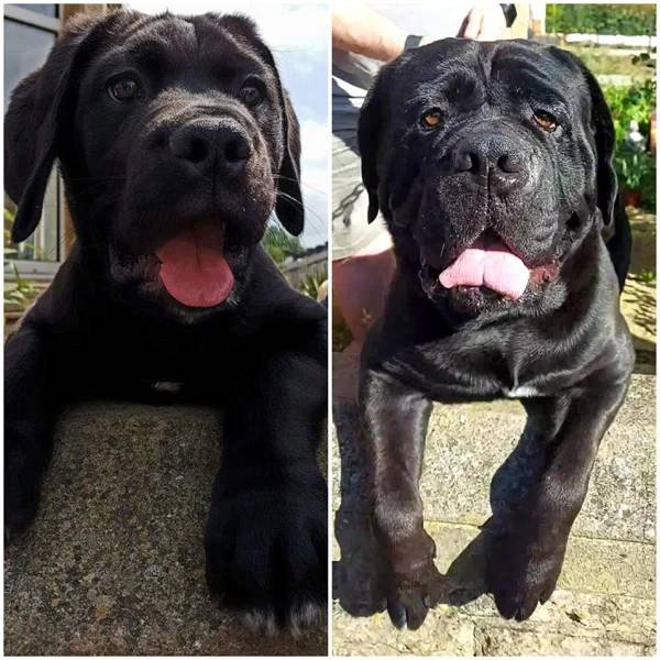 They Grow Very Fast (36 pics)
