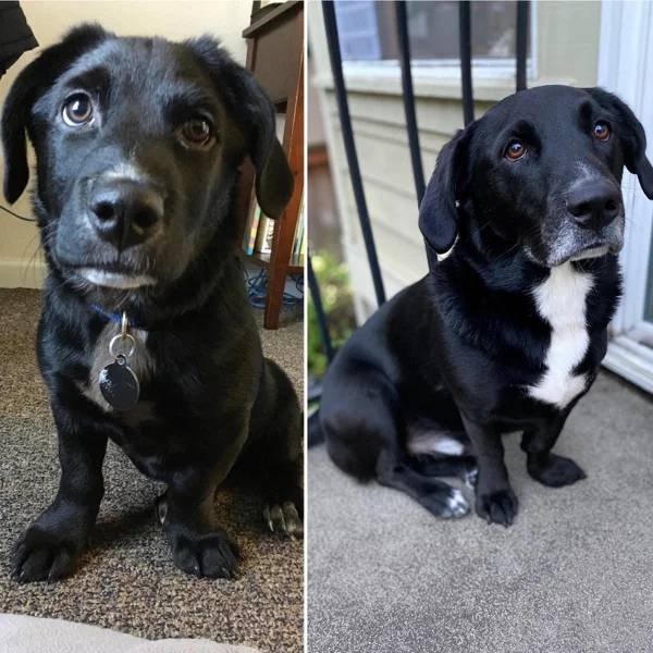 They Grow Very Fast (36 pics)
