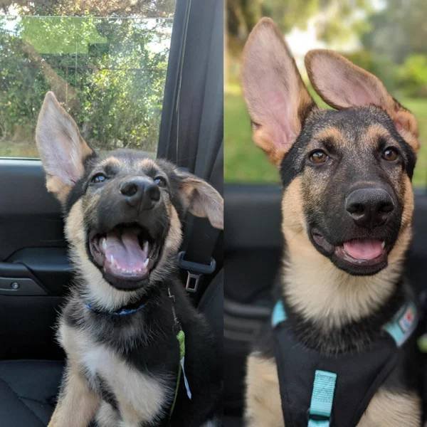 They Grow Very Fast (36 pics)