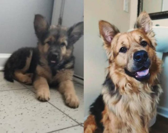 They Grow Very Fast (36 pics)