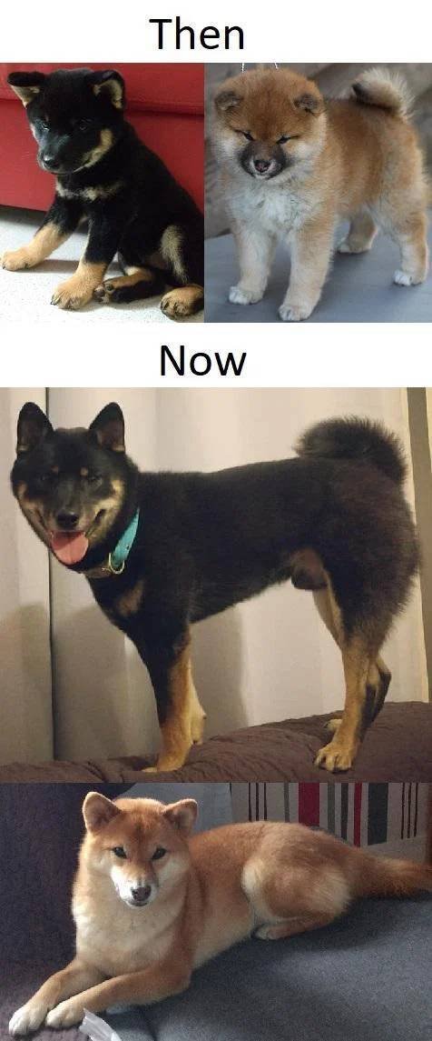 They Grow Very Fast (36 pics)