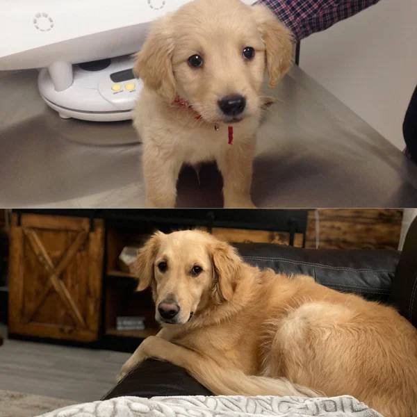 They Grow Very Fast (36 pics)