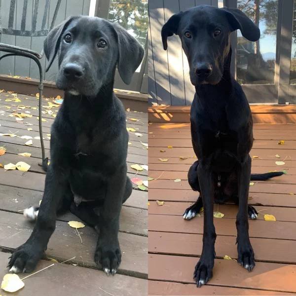 They Grow Very Fast (36 pics)