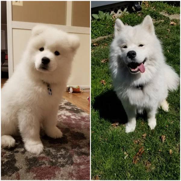 They Grow Very Fast (36 pics)