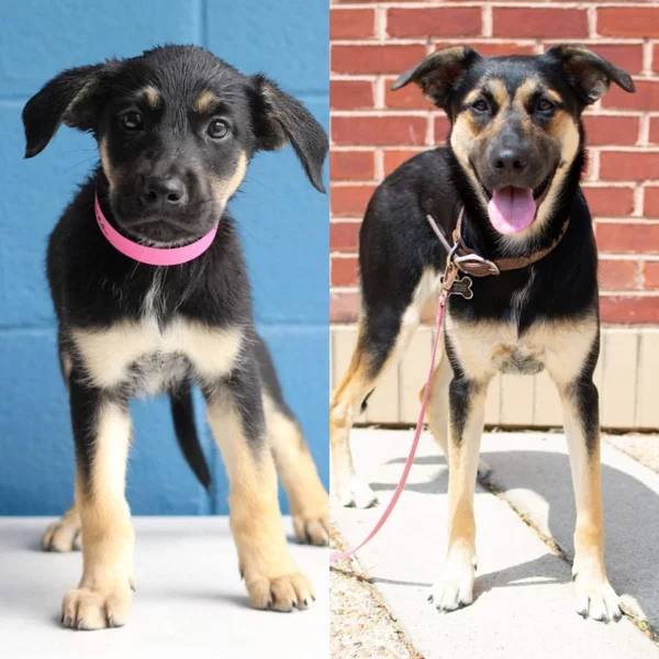 They Grow Very Fast (36 pics)