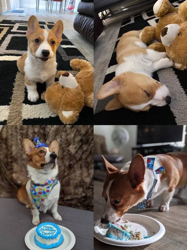 They Grow Very Fast (36 pics)