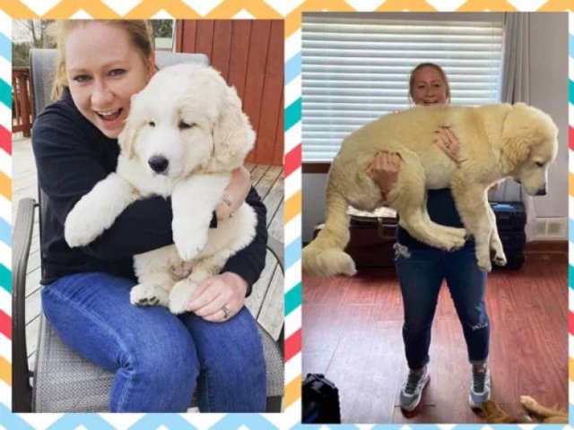 They Grow Very Fast (36 pics)