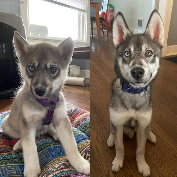They Grow Very Fast (36 pics)