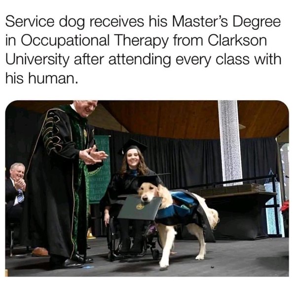 Kind Memes (22 pics)