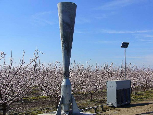 Interesting Finds And Discoveries (24 pics)