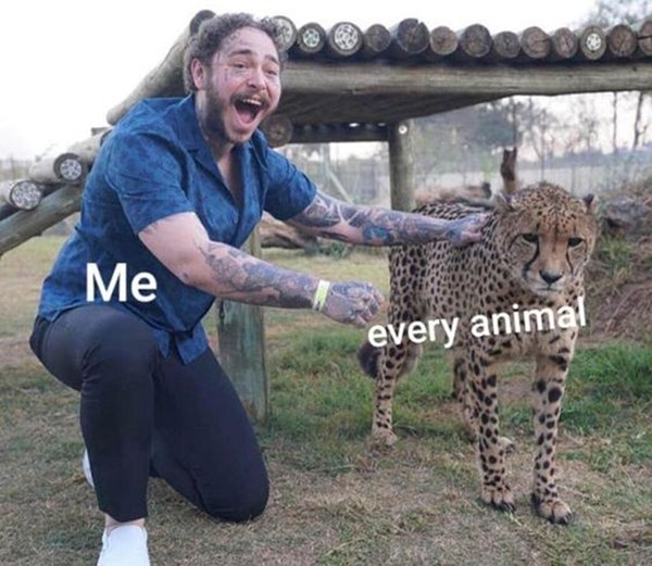 Kind Memes (22 pics)