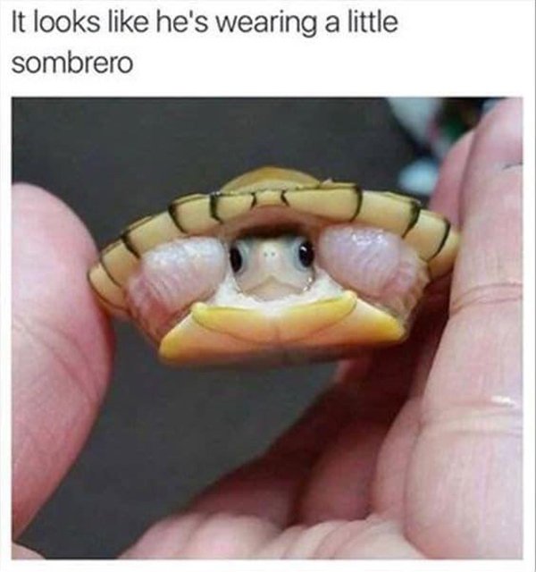 Kind Memes (22 pics)