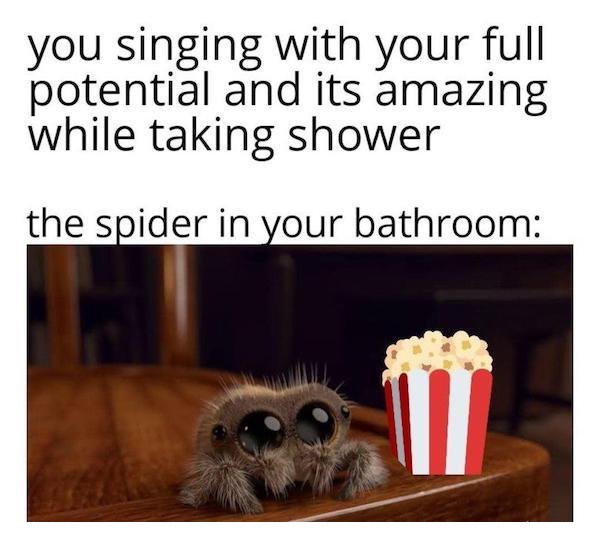Kind Memes (22 pics)