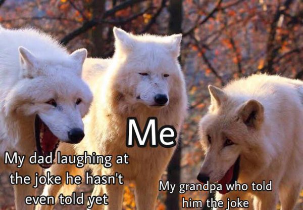 Kind Memes (22 pics)