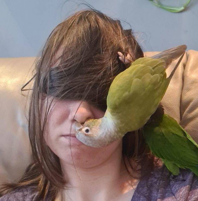 People Share Their Funny Pets (17 pics)