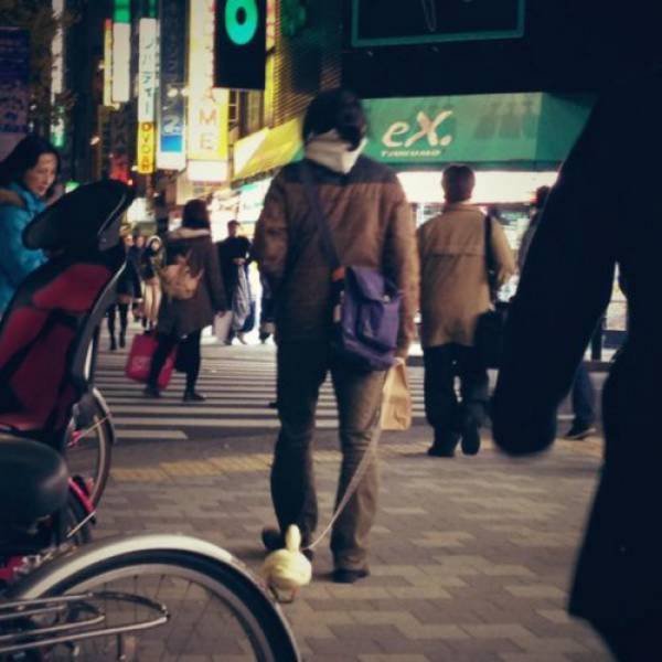 Weird Photos From Japan (40 pics)