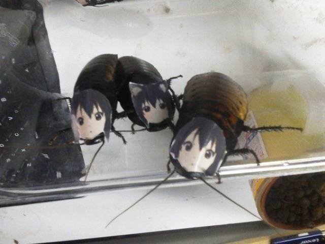 Weird Photos From Japan (40 pics)