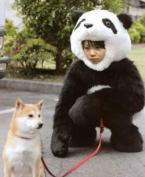 Weird Photos From Japan (40 pics)