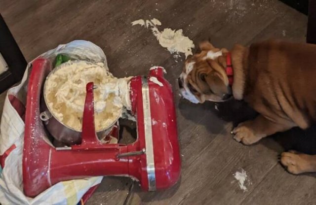 Fails In The Kitchen (25 pics)
