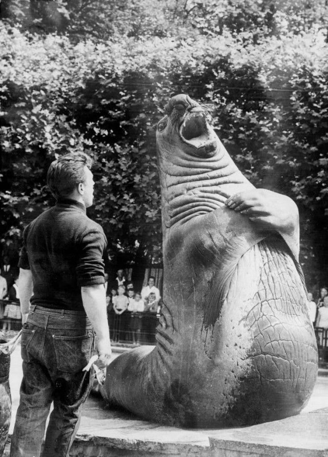 Interesting Finds And Discoveries (22 pics)