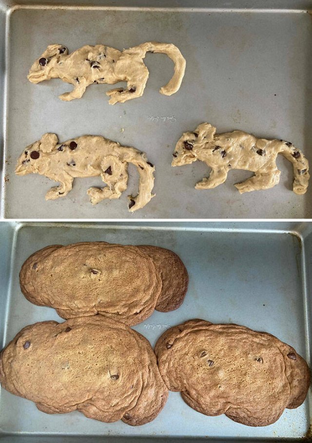 Fails In The Kitchen (25 pics)