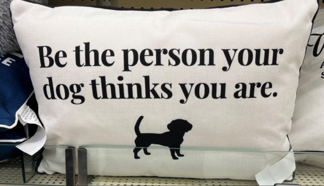 Funny Dogs (28 pics)
