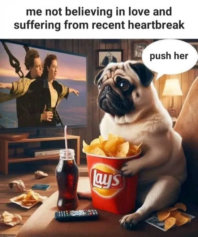 Funny Dogs (28 pics)