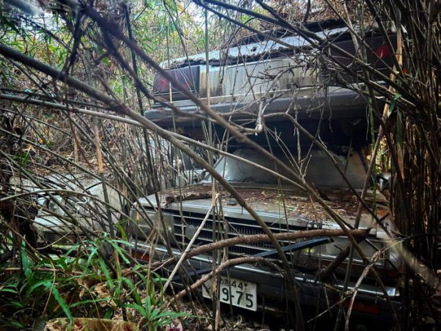 Fukushima: 13 Years After The Nuclear Disaster (30 pics)