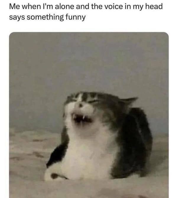 Memes With Animals (22 pics)