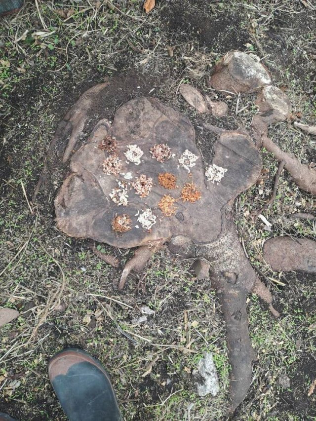 Interesting And Unusual Finds (20 pics) Interesting And Unusual Finds (20 pics)
