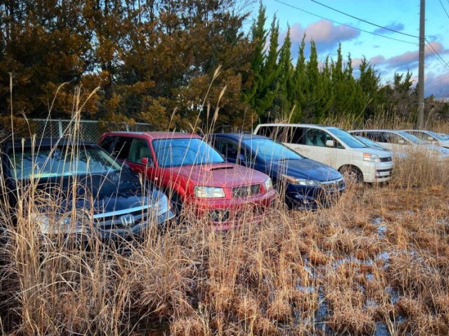 Fukushima: 13 Years After The Nuclear Disaster (30 pics)