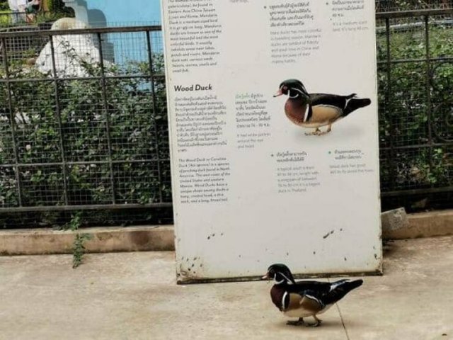 Unexpected Encounters With Doppelgangers (20 pics)