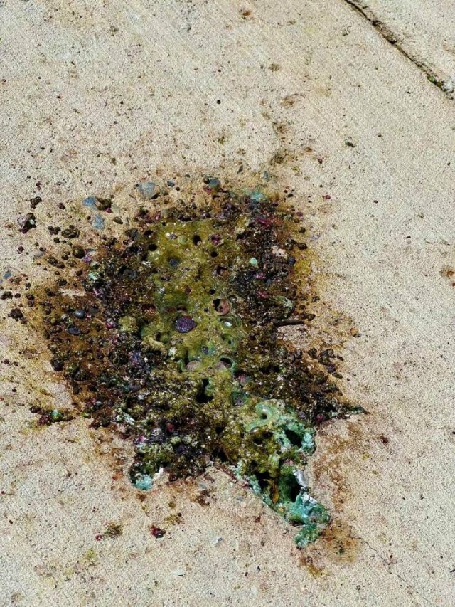 Interesting And Unusual Finds (20 pics) Interesting And Unusual Finds (20 pics)