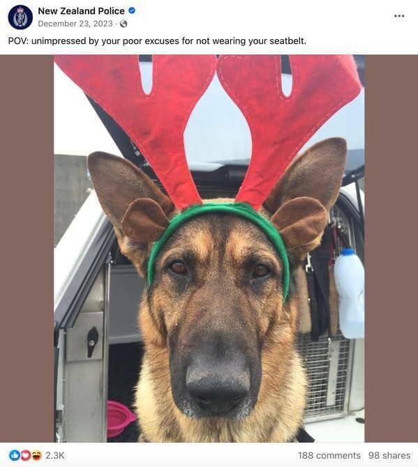 Funny New Zealand Police Posts (27 pics)